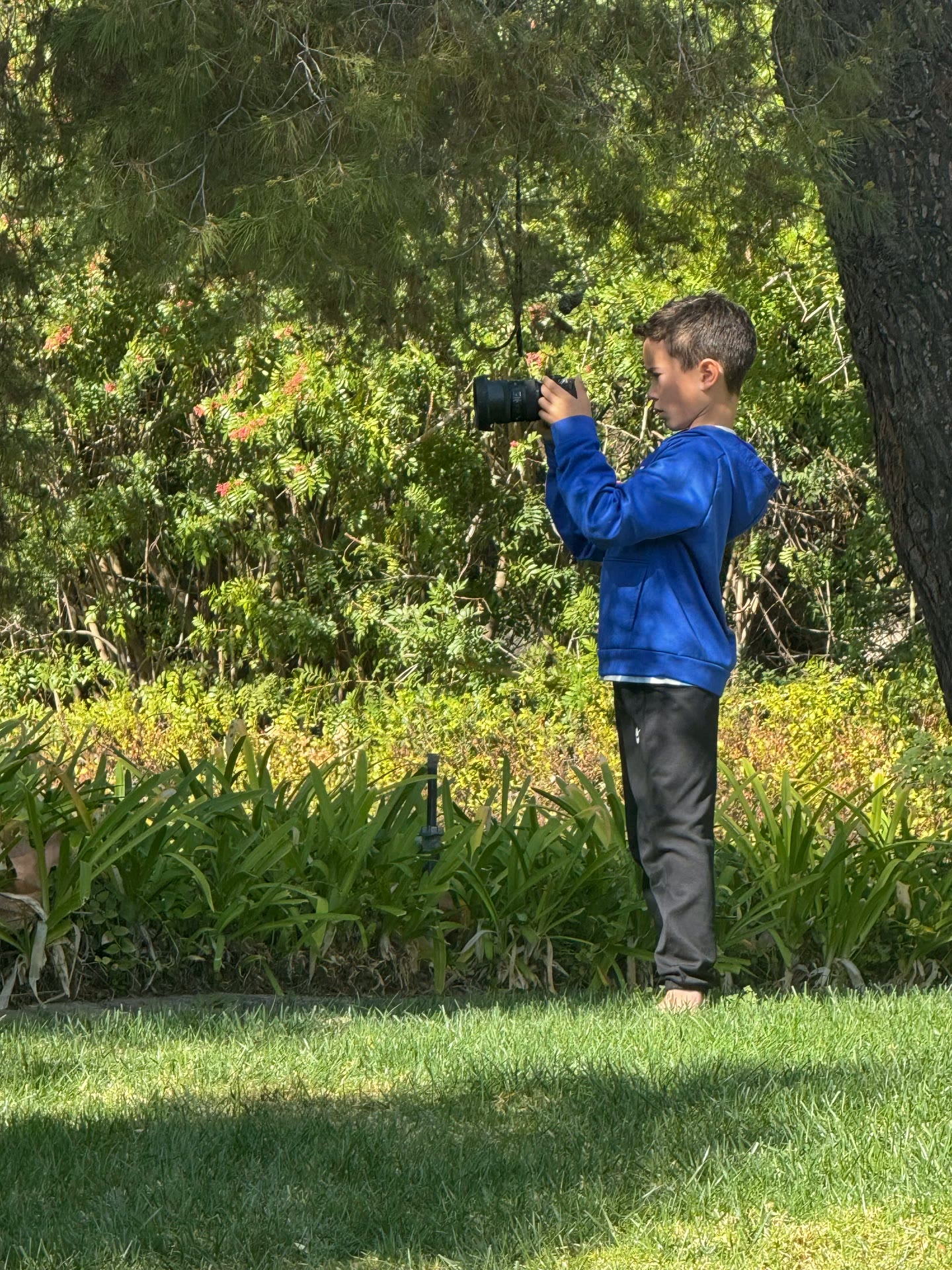 A boy standing barefoot in a garden photographing wildlife with a camera